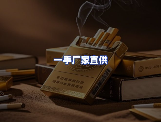专业团队